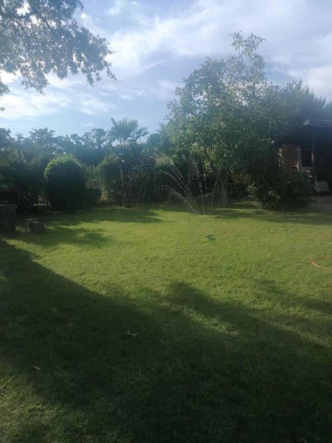 Apartment Villa Angelina, 70M From The Beach, Free Parking Novigrad Istria Exterior foto